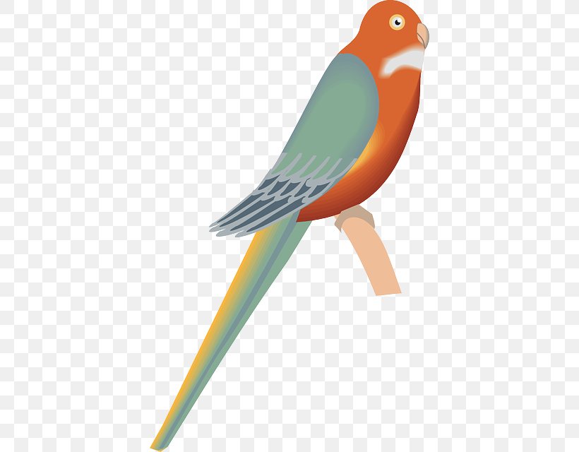 Clip Art Bird Image Openclipart Parrot, PNG, 396x640px, Bird, Beak, Common Pet Parakeet, Feather, Lovebird Download Free