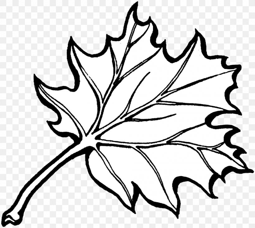 Coloring Book Autumn Leaf Color, PNG, 1000x896px, Coloring Book, Adult, Artwork, Autumn, Autumn Leaf Color Download Free