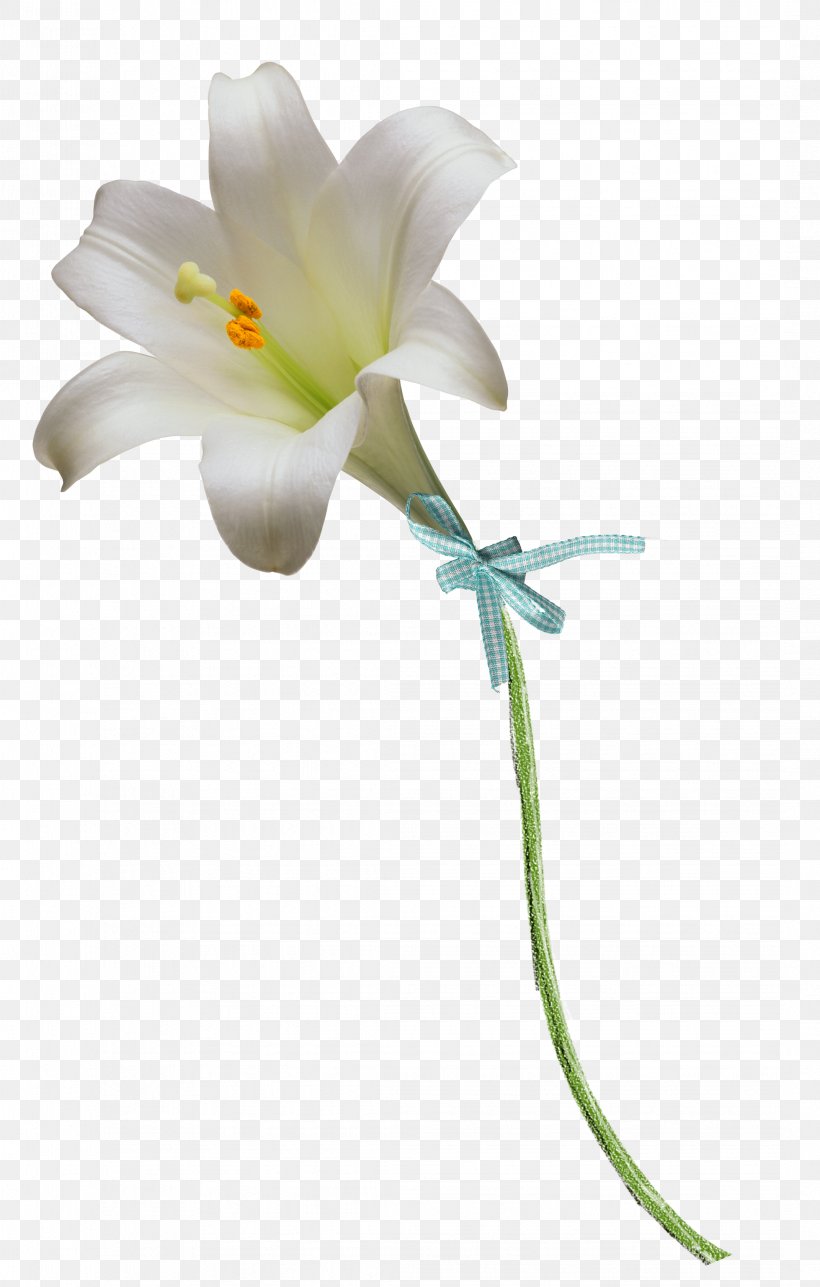Floral Design Easter Lily Flower Clip Art, PNG, 2142x3364px, Floral Design, Animation, Art, Cut Flowers, Easter Lily Download Free