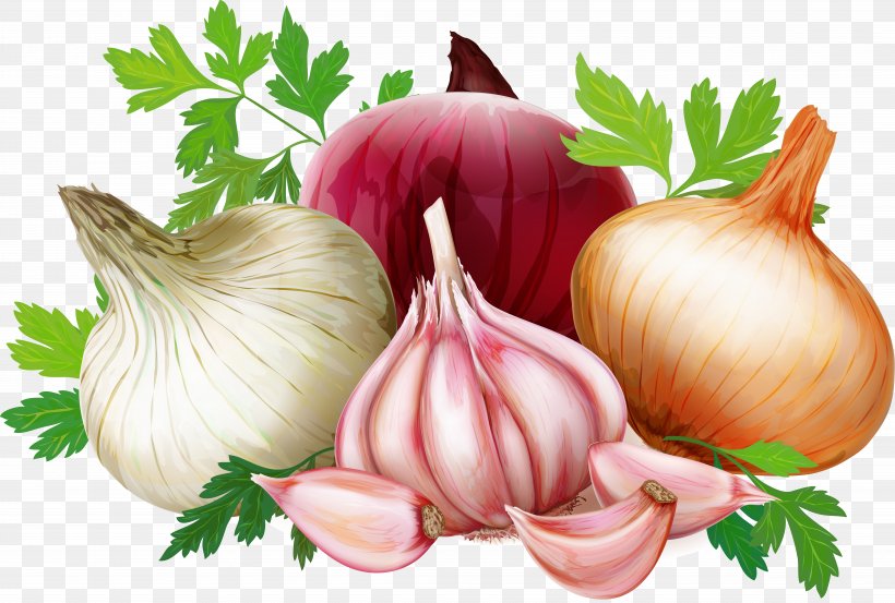 Welsh Onion French Onion Soup Red Onion Vector Graphics Vegetable, PNG, 9499x6412px, Welsh Onion, Food, French Onion Soup, Garlic, Ingredient Download Free
