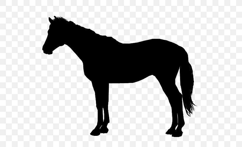 Arabian Horse American Quarter Horse Thoroughbred Trot Image, PNG, 600x500px, Arabian Horse, American Quarter Horse, Animal Figure, Blackandwhite, Cowboy Download Free