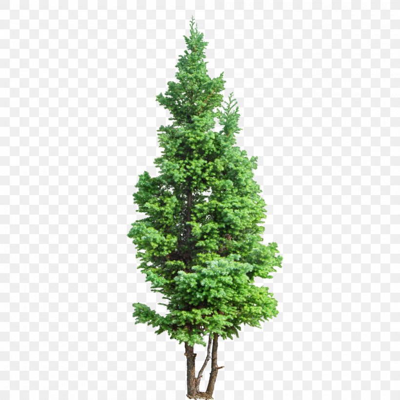 Artificial Christmas Tree Pre-lit Tree Christmas Tree Stands, PNG, 2000x2000px, Artificial Christmas Tree, Biome, Branch, Christmas Day, Christmas Decoration Download Free