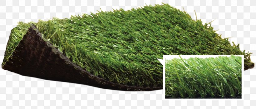 Artificial Turf Lawn Garden Thatch Carpet, PNG, 856x365px, Artificial Turf, Backyard, Carpet, Garden, Grass Download Free