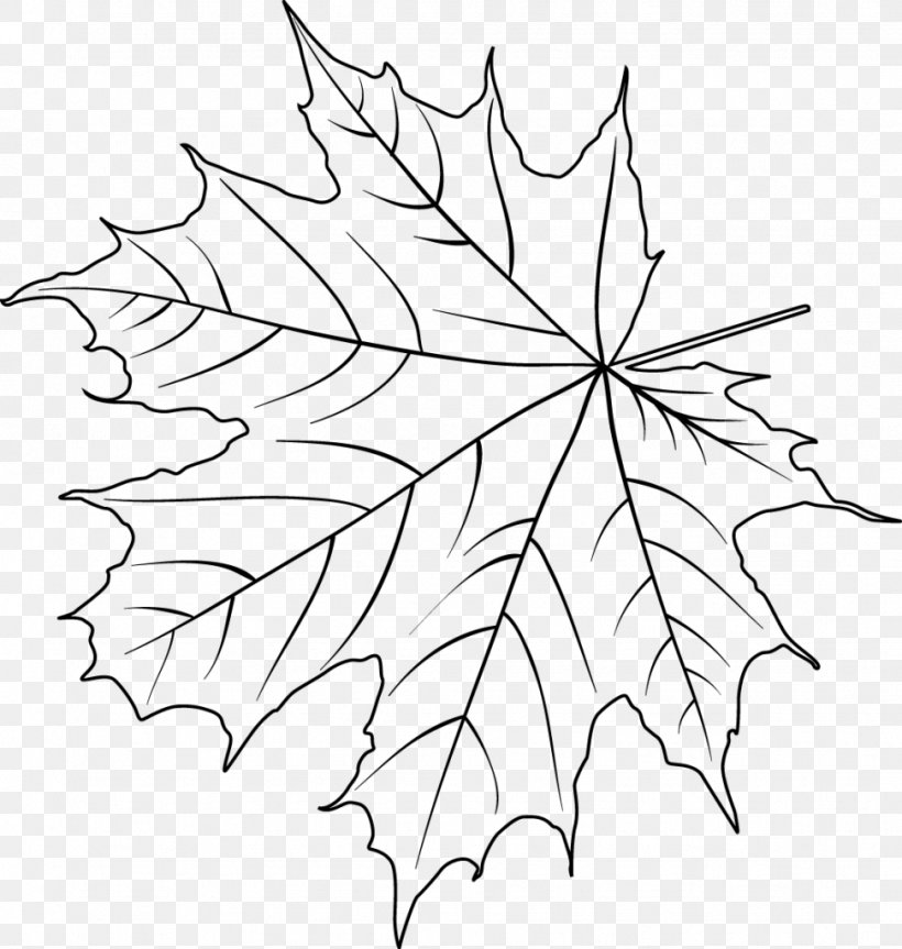 Christmas Day Drawing Flower Poinsettia Painting, PNG, 972x1024px, Christmas Day, Art, Black Maple, Blackandwhite, Botany Download Free