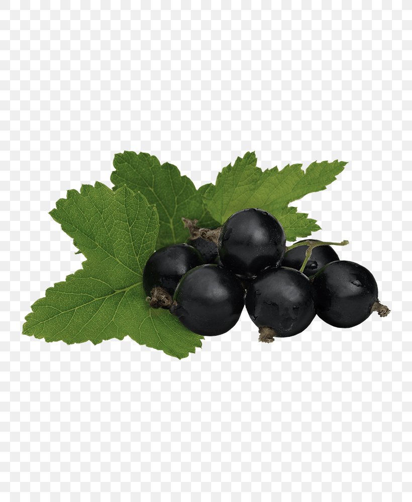 Gooseberry Stock Photography Royalty-free Blackcurrant, PNG, 800x1000px, Gooseberry, Berry, Bilberry, Blackberry, Blackcurrant Download Free