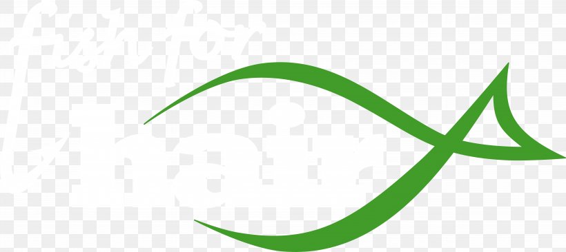 Leaf Brand Logo Clip Art, PNG, 9975x4461px, Leaf, Brand, Grass, Green, Logo Download Free