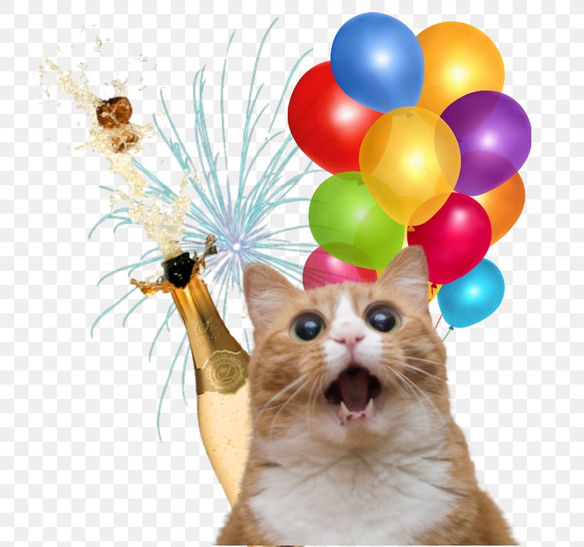 Balloon Clip Art, PNG, 736x768px, Balloon, Cat, Cat Like Mammal, Image File Formats, Kitten Download Free