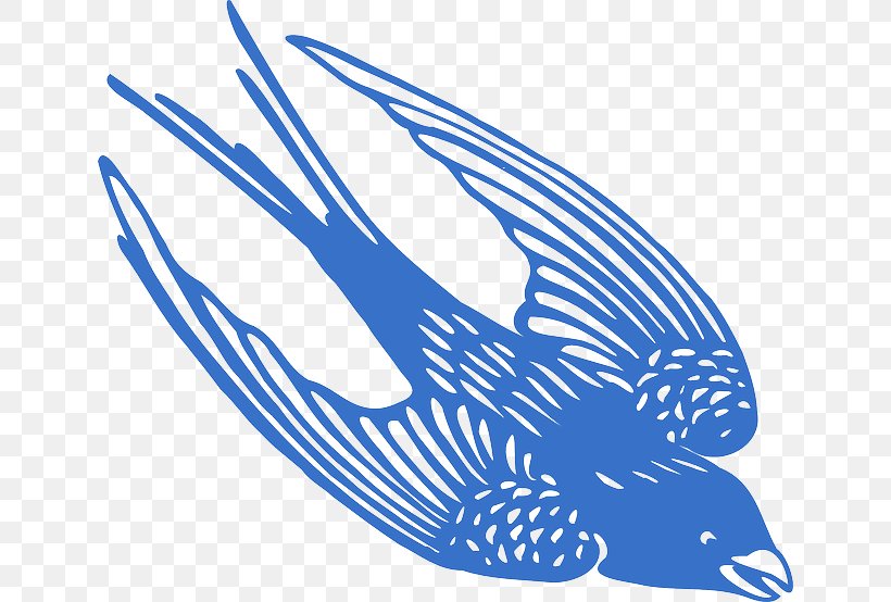 Blue Jay Bird Clip Art, PNG, 640x554px, Blue Jay, Area, Bird, Bird Flight, Black And White Download Free