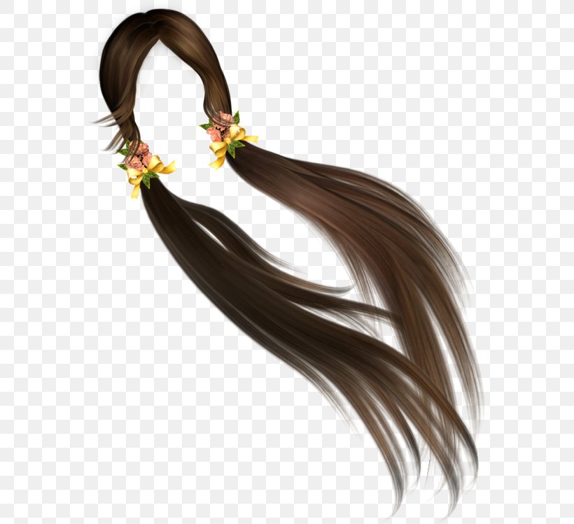 Hair Coloring Long Hair 02PD, PNG, 569x749px, Hair Coloring, Brown Hair, Hair, Hair Tie, Long Hair Download Free