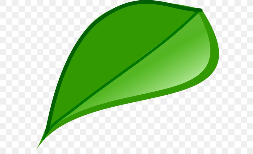 Leaf Graphics Product Design, PNG, 600x501px, Leaf, Grass, Green, Plant, Triangle Download Free