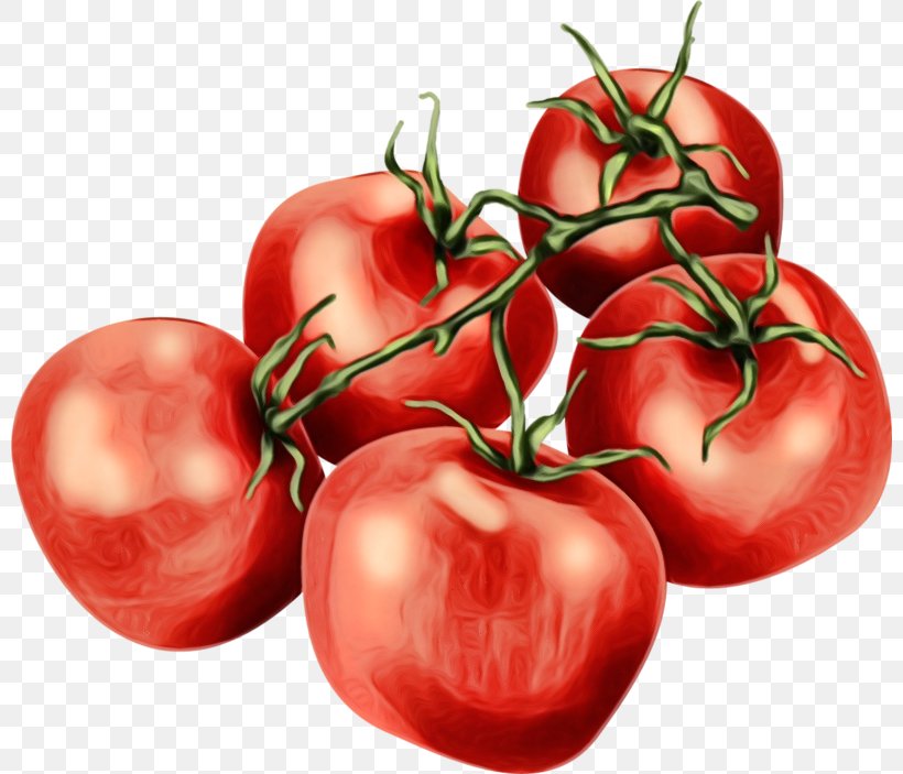Tomato, PNG, 800x703px, Watercolor, Bush Tomato, Food, Fruit, Local Food Download Free