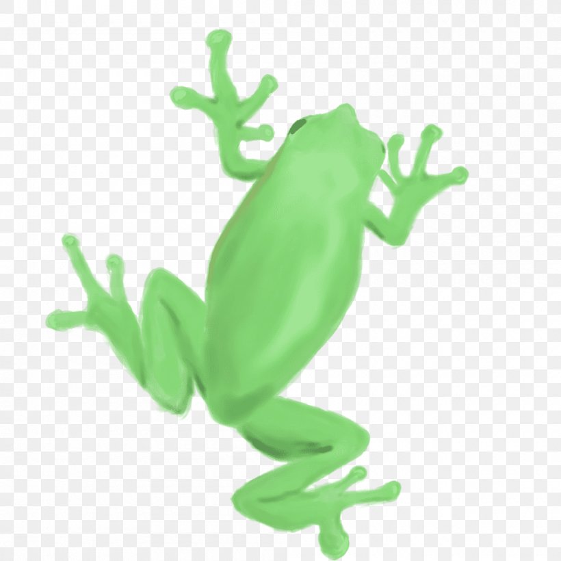 True Frog Tree Frog Toad T-shirt, PNG, 1000x1000px, True Frog, Amphibian, Animal, Animal Figure, Art Download Free