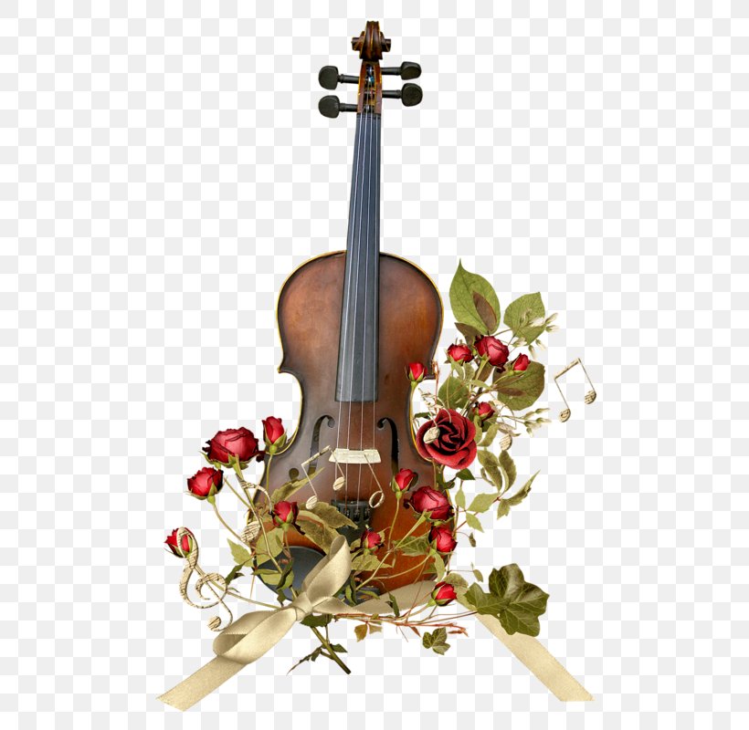 Violin Bow Musical Instrument Cello String, PNG, 506x800px, Watercolor, Cartoon, Flower, Frame, Heart Download Free