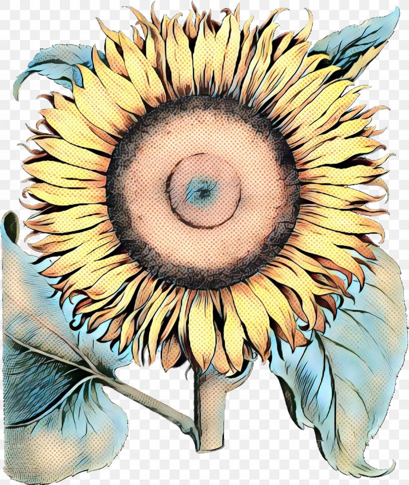 Watercolor Flower Background, PNG, 1605x1902px, Pop Art, Common Sunflower, Eye, Flower, Iris Download Free