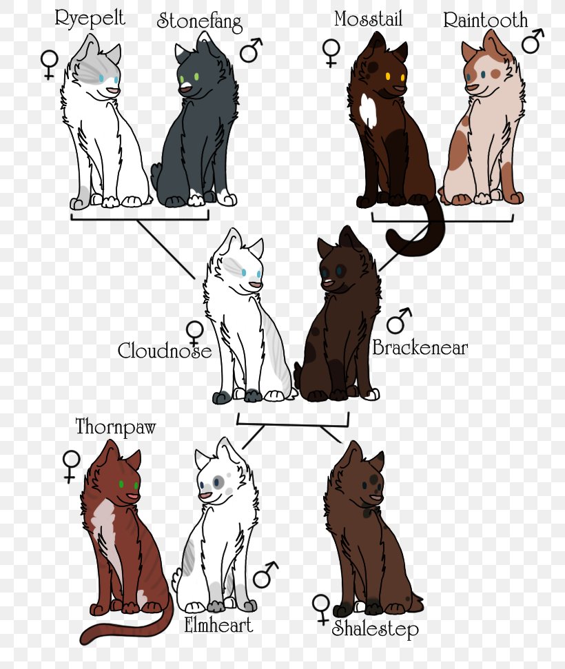 Cat Illustration Cartoon Comics Clip Art, PNG, 795x971px, Watercolor, Cartoon, Flower, Frame, Heart Download Free