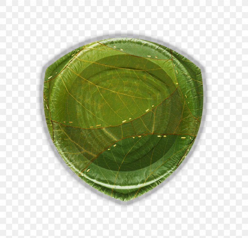 Cinnamon Leaf Oil Bowl Leaf Republic Tableware Cinnamomum Verum, PNG, 1000x960px, Cinnamon Leaf Oil, Biodegradation, Bowl, Cinnamomum Verum, Cinnamon Download Free