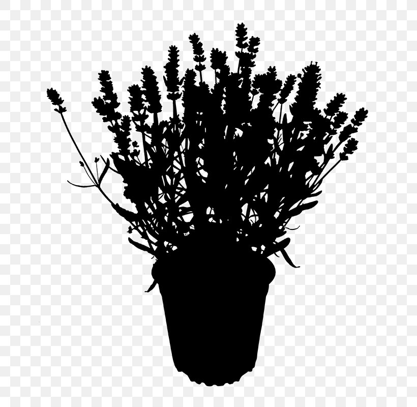 Desktop Wallpaper Computer Font Silhouette Flower, PNG, 800x800px, Computer, Blackandwhite, Flower, Flowerpot, Grass Download Free