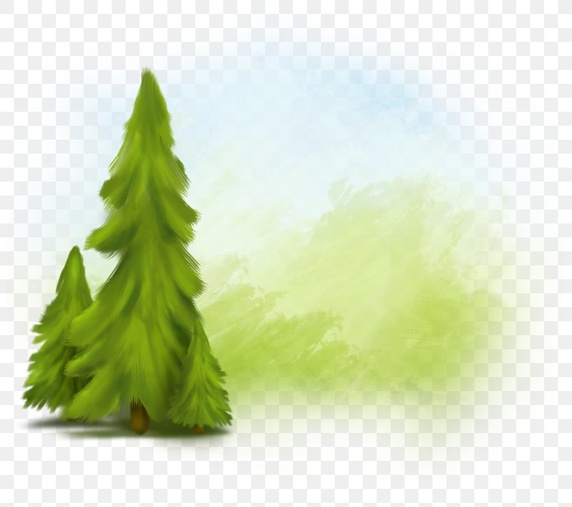 Fir Spruce Tree, PNG, 800x726px, Fir, Christmas Tree, Conifer, Grass, Green Download Free