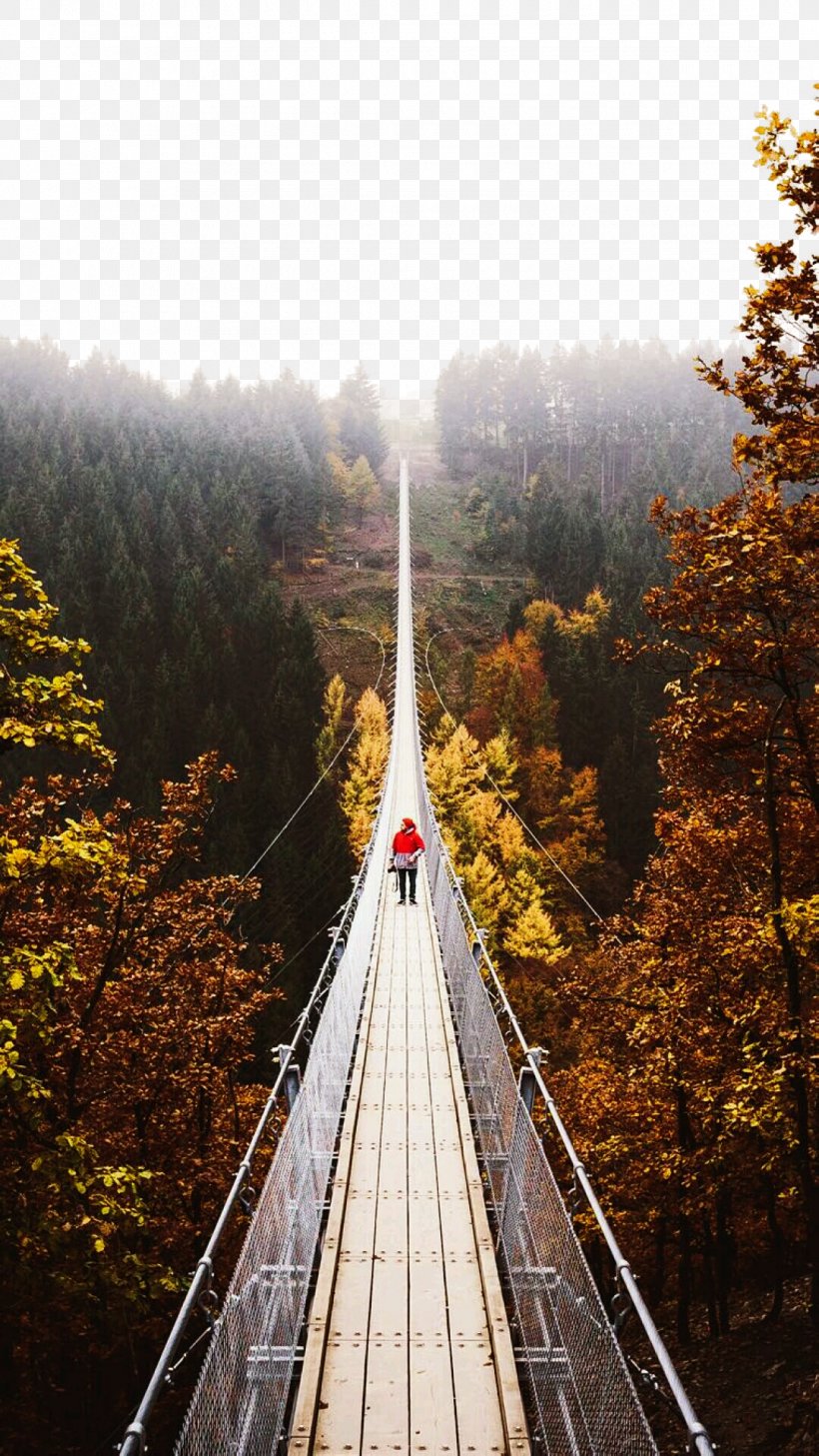 Geierlay Suspension Bridge Landscape, PNG, 1080x1920px, Geierlay, Autumn, Bridge, Fukei, Idea Download Free