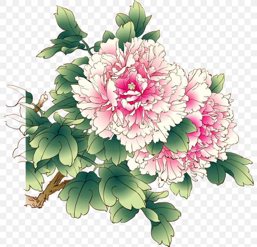 Chinese Peony Moutan Peony Clip Art, PNG, 800x789px, Peony, Annual Plant, Chinese Peony, Chrysanths, Cut Flowers Download Free