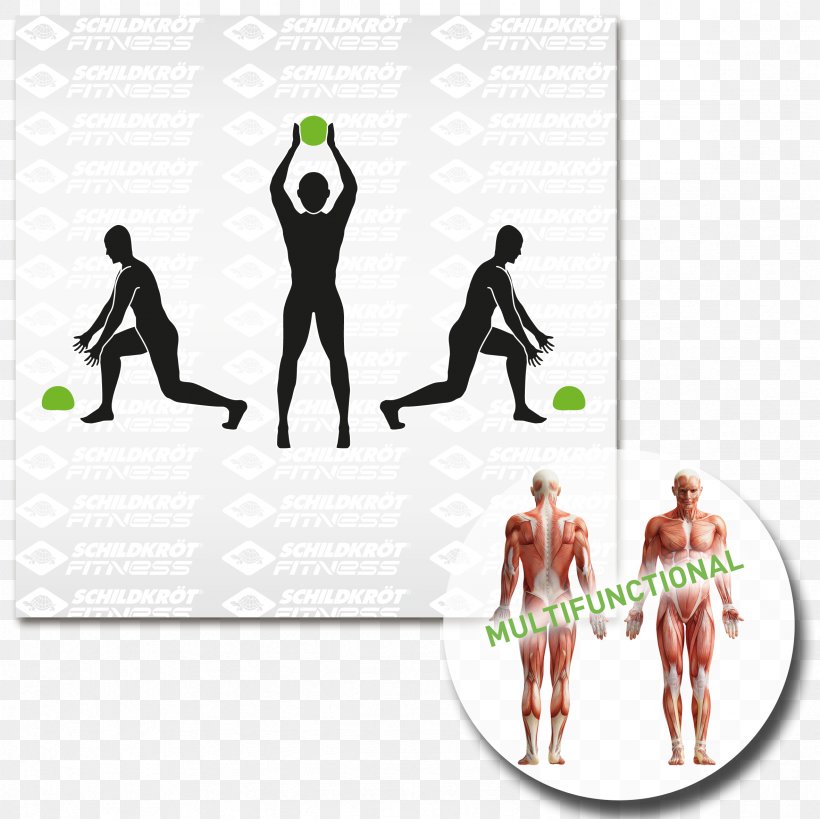 Pull-up Physical Fitness Muscle Exercise Anatomy, PNG, 2362x2362px, Pullup, Anatomy, Area, Brand, Exercise Download Free