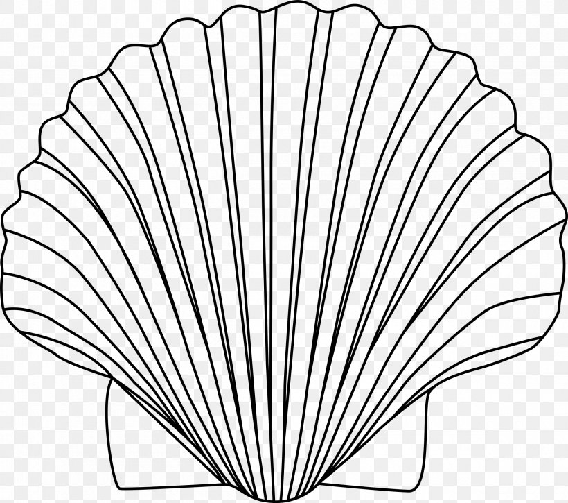 Seashell Clip Art, PNG, 2400x2123px, Seashell, Argonaut, Black And White, Invertebrate, Leaf Download Free