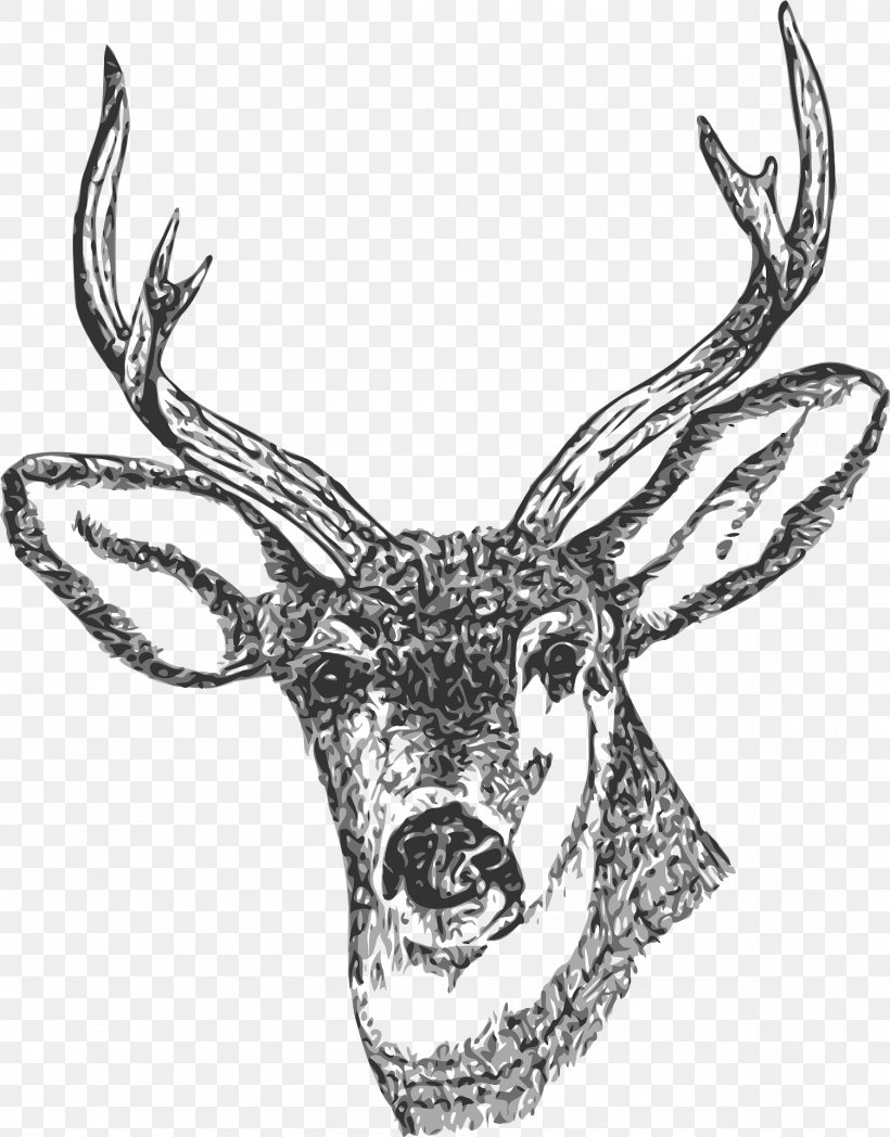 White-tailed Deer Reindeer Red Deer Clip Art, PNG, 1502x1920px, Deer, Antler, Art, Black And White, Drawing Download Free