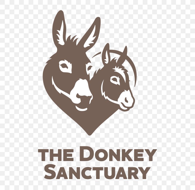 The Donkey Sanctuary Animal Sanctuary Mule Sidmouth, PNG, 550x800px, Donkey Sanctuary, Animal, Animal Sanctuary, Animal Welfare, Brand Download Free