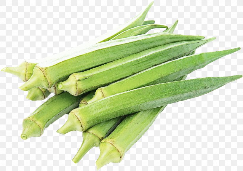 Vegetable Okra Food Plant Ingredient, PNG, 1492x1051px, Vegetable, Food, Ingredient, Mallow Family, Okra Download Free