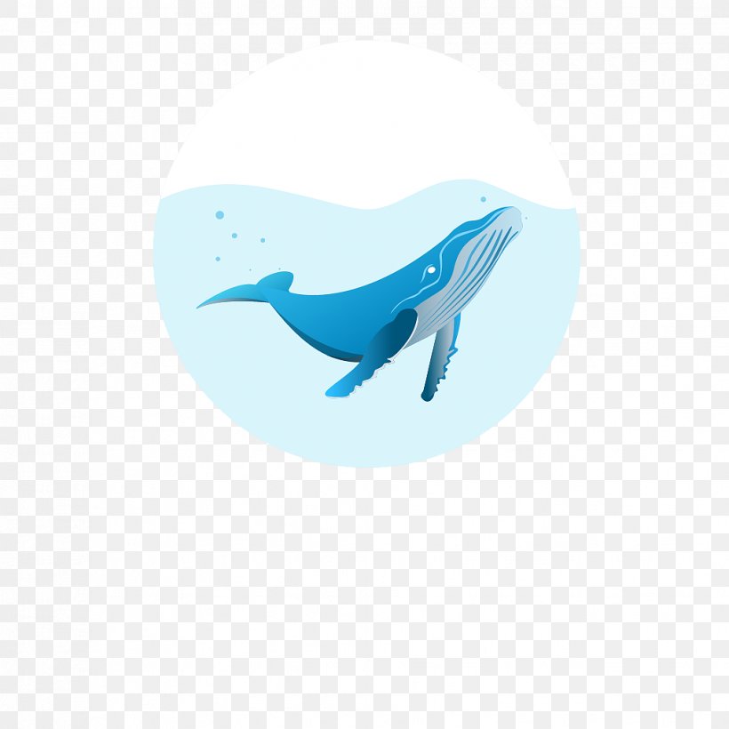 Dolphin Desktop Wallpaper Logo Illustration Computer, PNG, 1018x1018px, Dolphin, Aqua, Azure, Beak, Biology Download Free