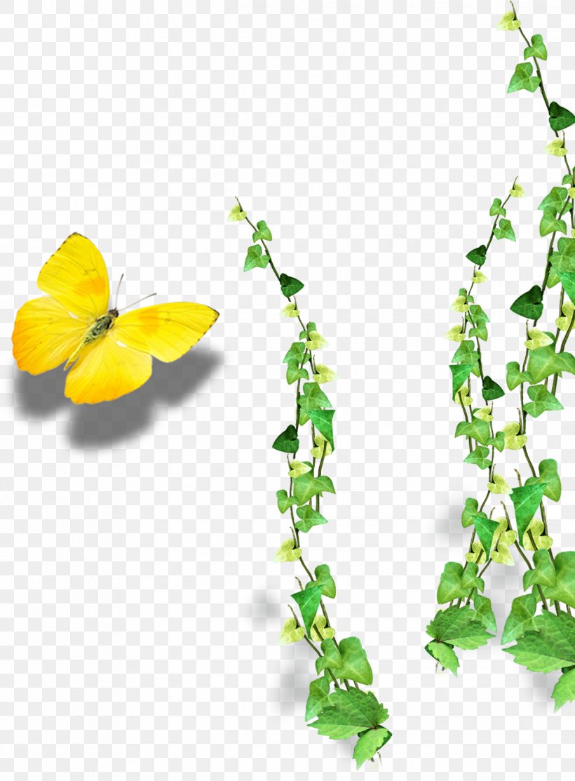 Laptop Download Computer File, PNG, 1219x1655px, Laptop, Branch, Butterfly, Flora, Flower Download Free