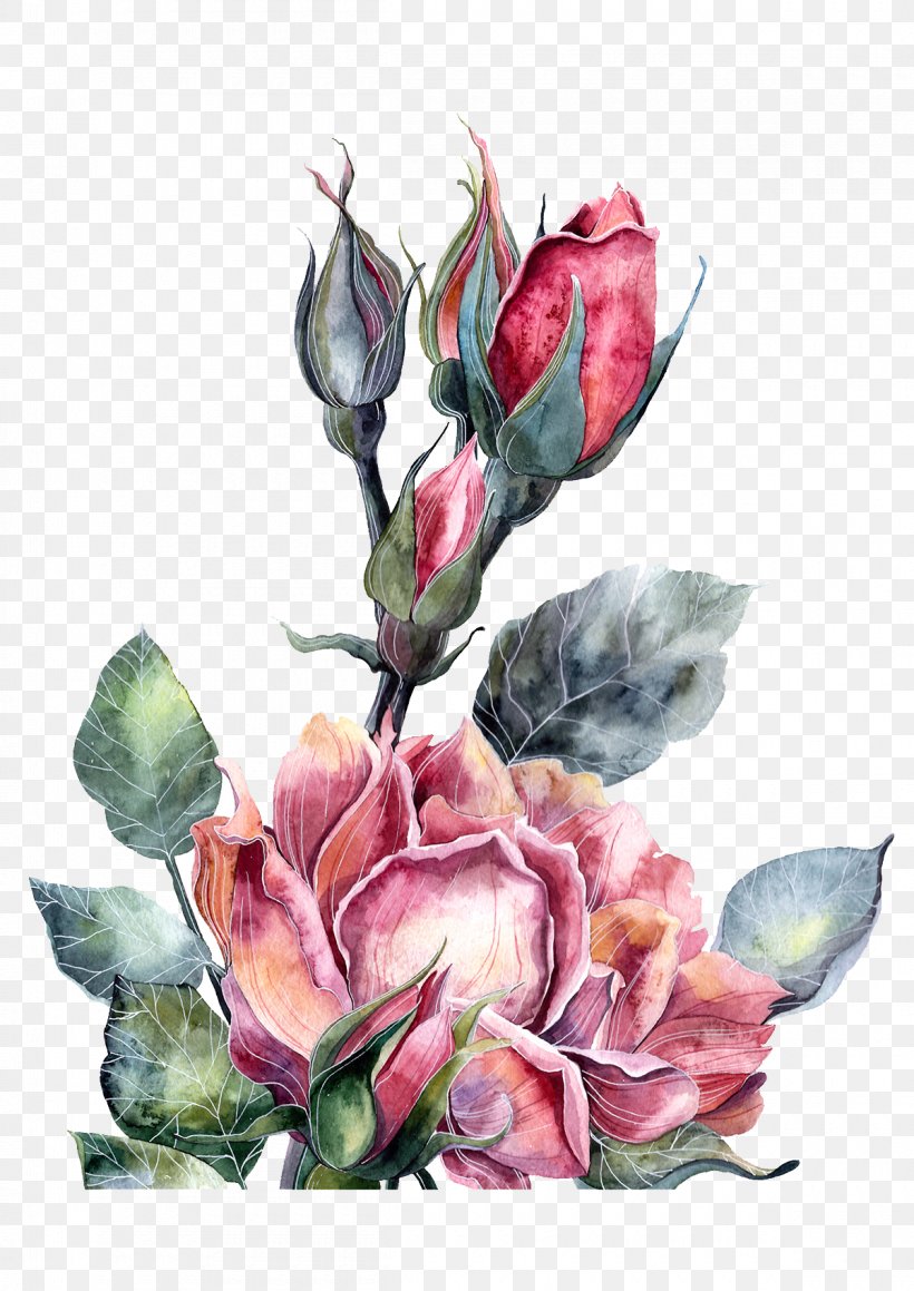 Watercolor Painting Illustrator Illustration, PNG, 1200x1697px, Watercolor Painting, Art, Artificial Flower, Artist, Color Download Free