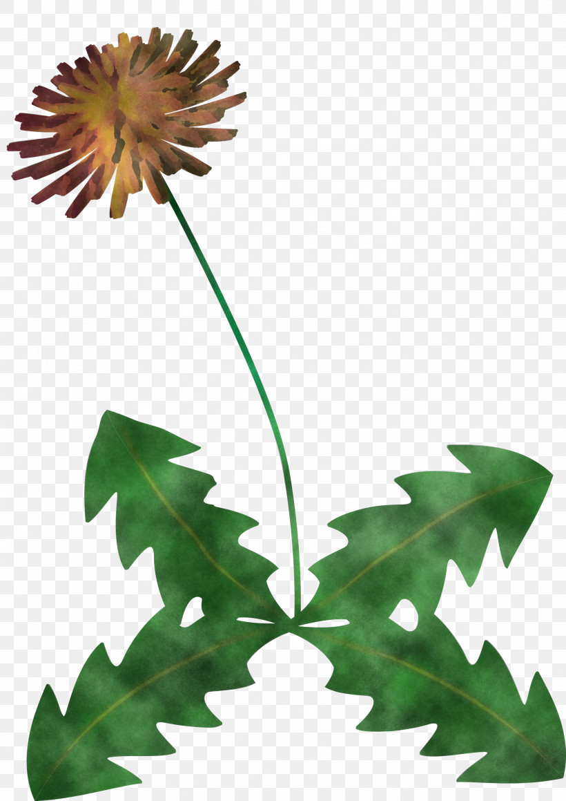 Dandelion Flower, PNG, 2121x2999px, Dandelion Flower, Branch, Floral Design, Flower, Flowerpot Download Free