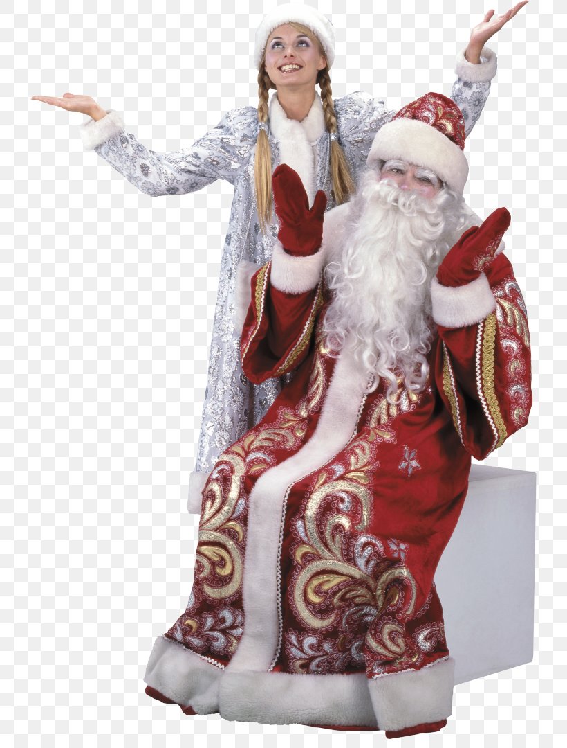 Ded Moroz Snegurochka Santa Claus Christmas Ornament New Year, PNG, 732x1080px, Ded Moroz, Brauch, Christmas, Christmas Decoration, Christmas Ornament Download Free