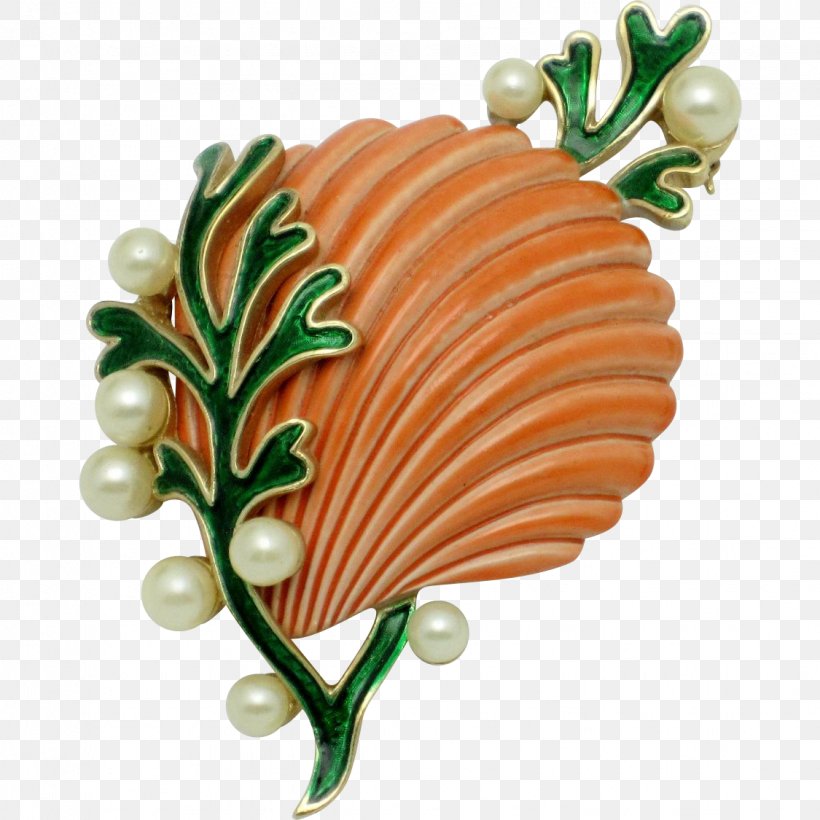 Seashell Clip Art Image Brooch Drawing, PNG, 1125x1125px, Seashell, Art, Brooch, Cartoon, Drawing Download Free