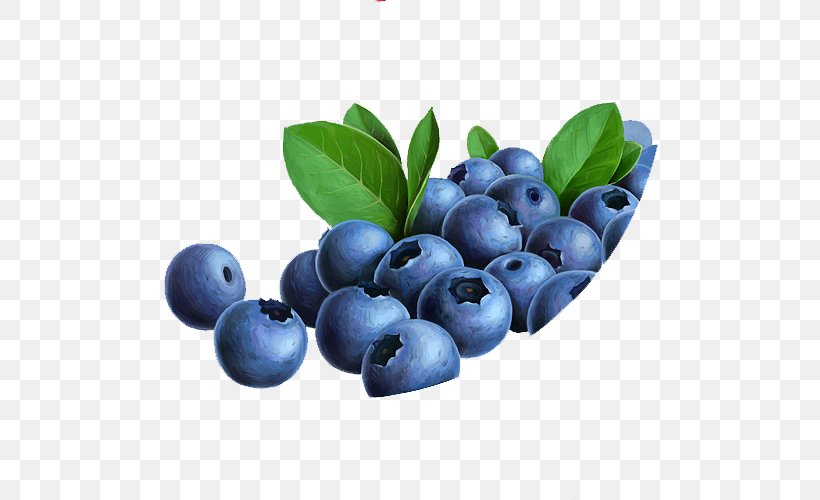 Blueberry Tea Bilberry Huckleberry Fruit, PNG, 500x500px, Blueberry, Aristotelia Chilensis, Auglis, Berry, Bilberry Download Free