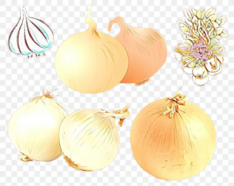 Christmas Ornament, PNG, 1274x1014px, Onion, Allium, Christmas Ornament, Food, Garlic Download Free