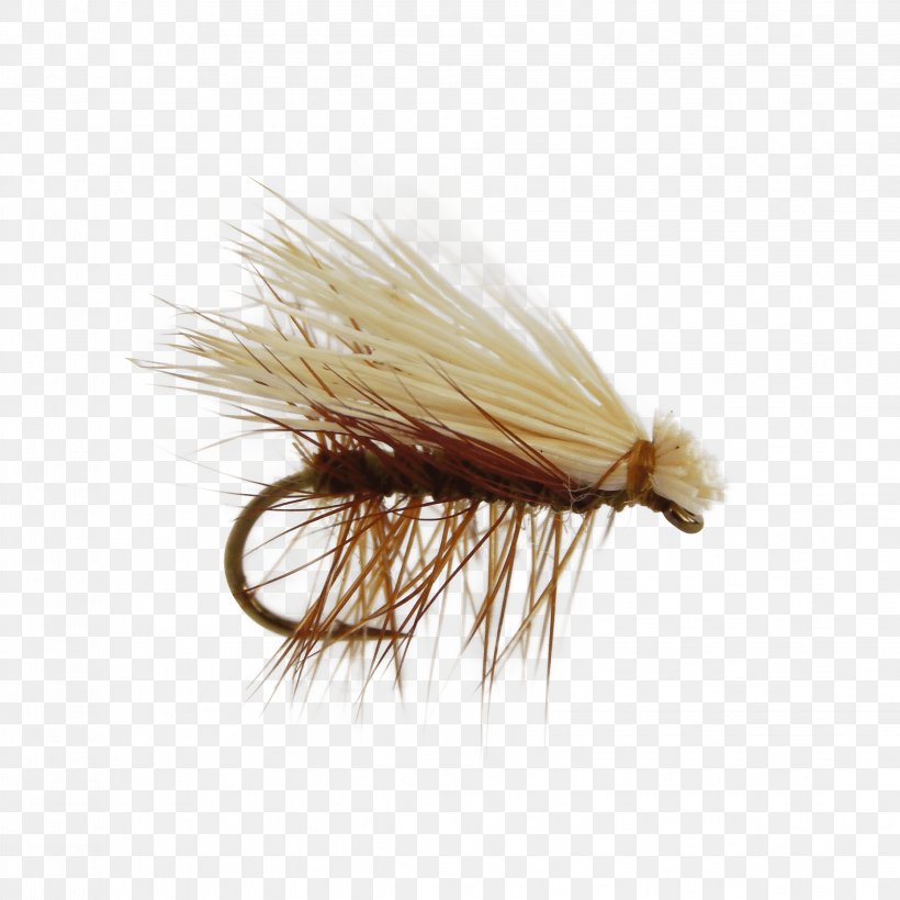 Elk Hair Caddis Dry Fly Fishing Caddisflies Artificial Fly, PNG, 2241x2241px, Elk Hair Caddis, Artificial Fly, Caddisflies, Dry Fly Fishing, Elk Download Free