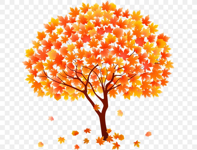 Orange, PNG, 640x623px, Tree, Autumn, Branch, Cut Flowers, Flower Download Free