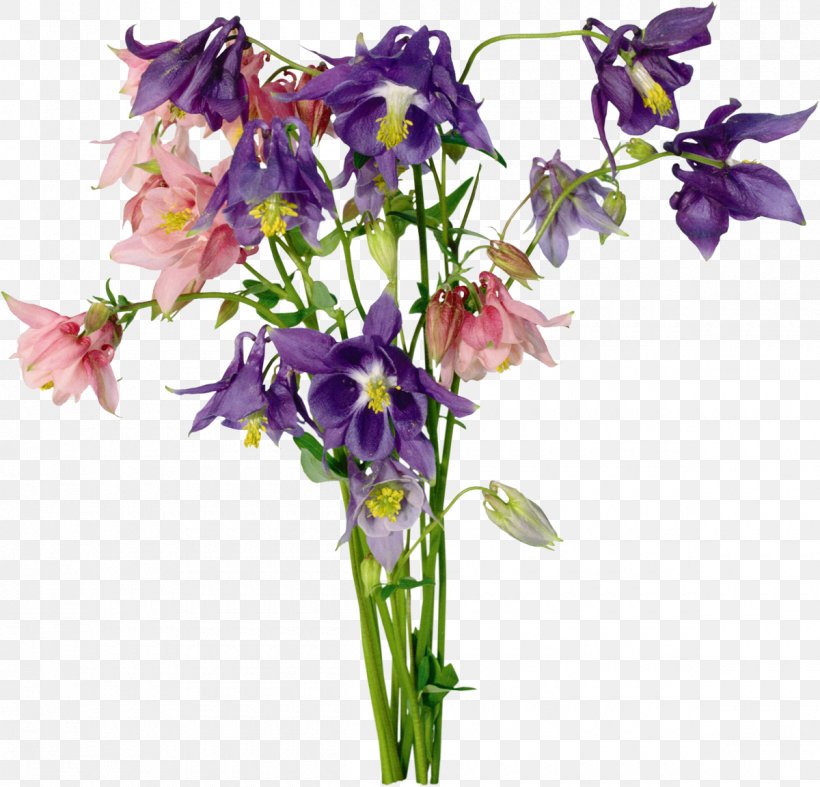 Cut Flowers Floral Design Clip Art, PNG, 1200x1153px, Flower, Bellflower Family, Cut Flowers, Dendrobium, Flora Download Free