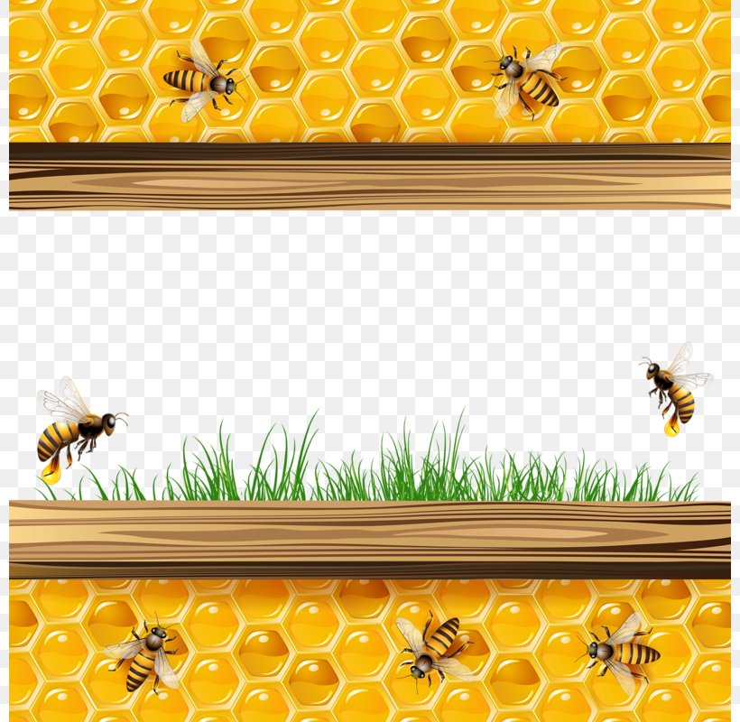 Honey Bee Honeycomb Illustration, PNG, 800x800px, Bee, Bee Pollen, Flower, Glass, Honey Download Free