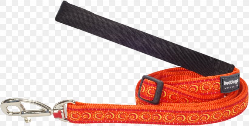 Leash Dingo Dog Collar Length, PNG, 3000x1523px, Leash, Cat, Collar, Dingo, Dog Download Free