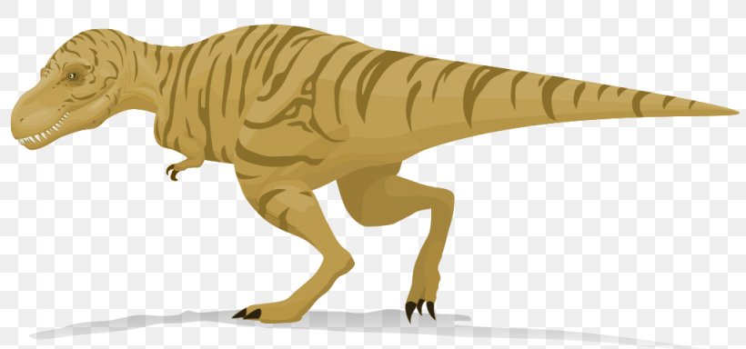 Tyrannosaurus Subaru Rex Velociraptor Dinosaur Wikipedia, PNG, 1024x480px, Tyrannosaurus, Animal Figure, Arabic Wikipedia, Dinosaur, Encyclopedia Download Free