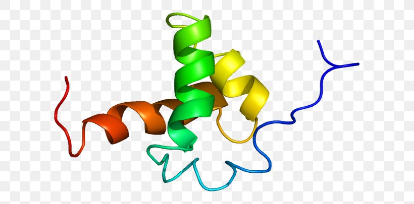 Nuclear Receptor Co-repressor 2 Protein Histone Corepressor, PNG, 656x405px, Watercolor, Cartoon, Flower, Frame, Heart Download Free