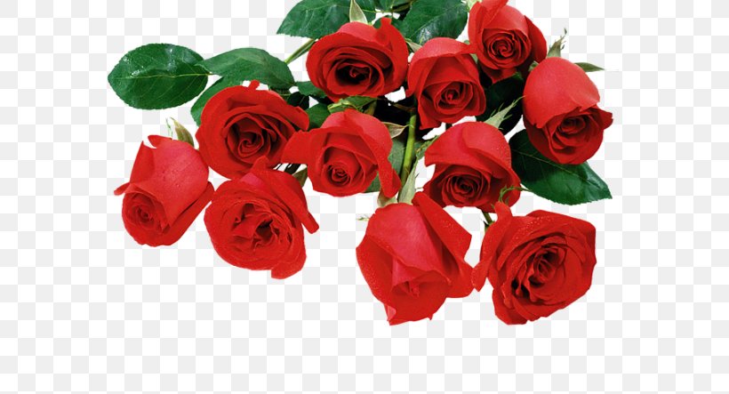 Valentine's Day Desktop Wallpaper Rose, PNG, 600x443px, 2017, 2018, Valentine S Day, Artificial Flower, Cut Flowers Download Free
