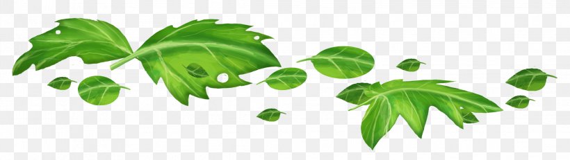 Branch Leaf, PNG, 2292x648px, Branch, Com, Google Images, Grass, Green Download Free