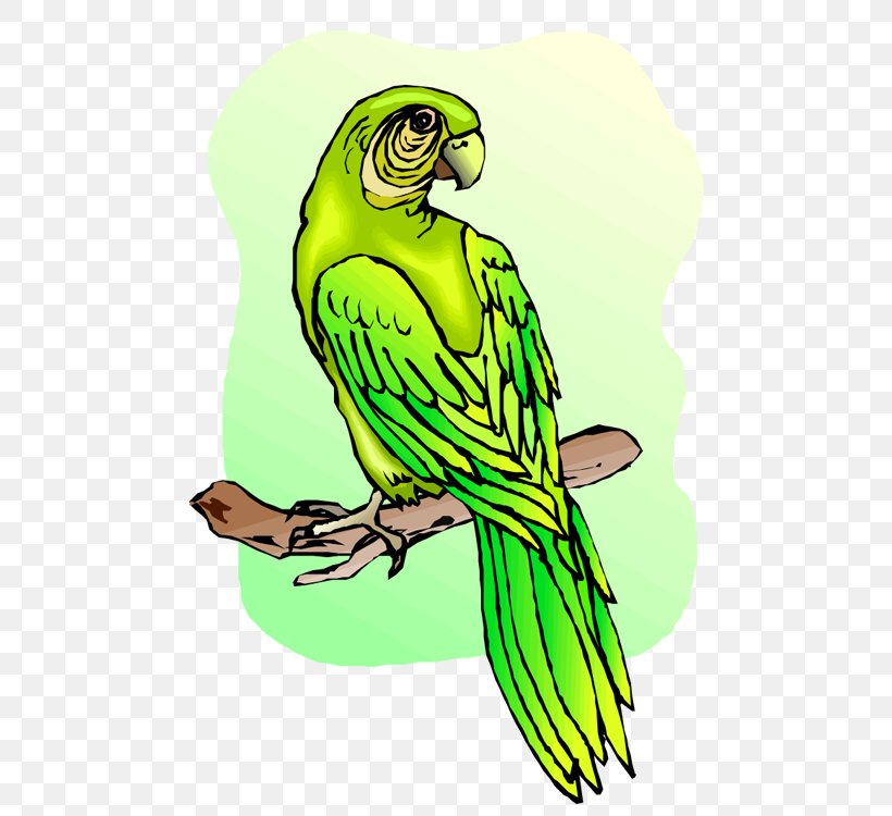 Budgerigar Parrot Macaw Clip Art, PNG, 527x750px, Budgerigar, Art, Beak, Bird, Bird Of Prey Download Free