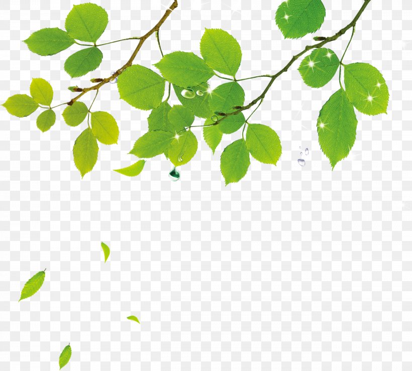 Download Leaf Adobe Illustrator, PNG, 1312x1183px, Leaf, Branch, Grass, Green, Image Resolution Download Free