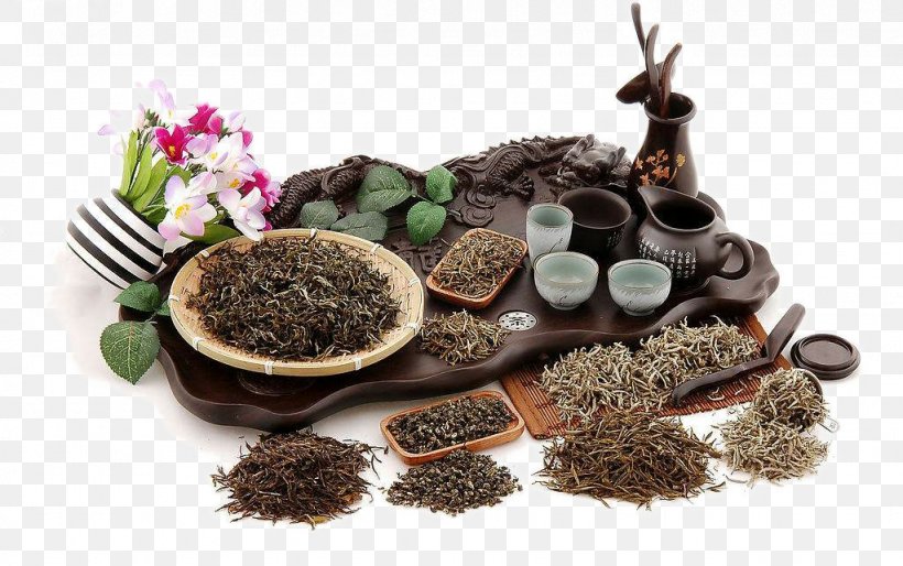 Green Tea Oolong Black Tea Tea Bag, PNG, 1024x643px, Tea, Black Tea, Caffeine, Camellia Sinensis, Chinese Tea Download Free
