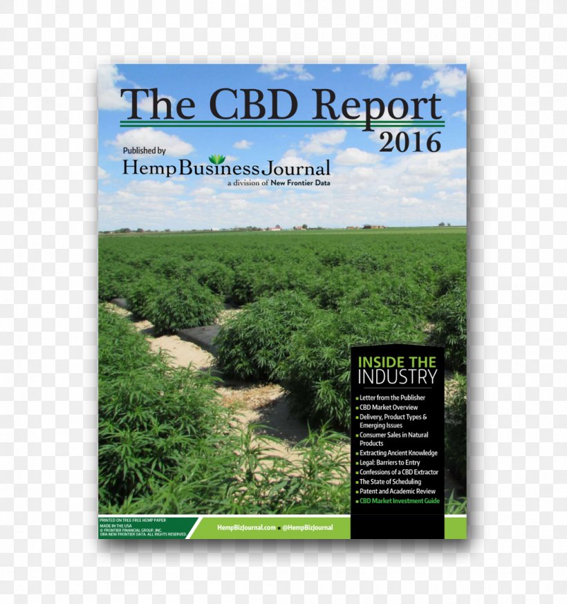 Hemp Oil Medical Cannabis Tetrahydrocannabinol, PNG, 1055x1125px, Hemp Oil, Cannabidiol, Cannabis, Ecosystem, Grass Download Free
